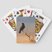 Jeu De Cartes Raven sur les branches d'arbre ensoleillées, (dos)