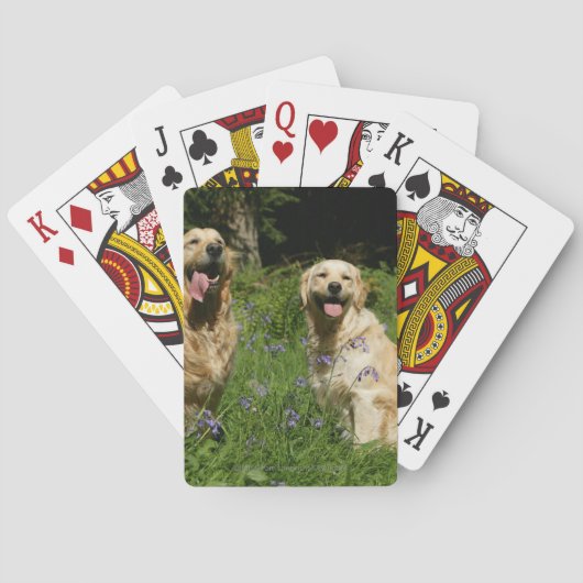 Jeu De Cartes Récipiendaires en or en herbe (dos)