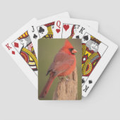 Jeu De Cartes Red Cardinal  (dos)