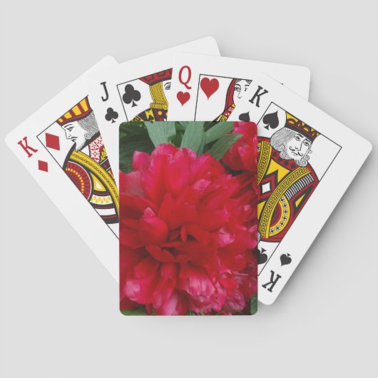 Jeu De Cartes Red Peony Photo Classic Playing Cards (dos)