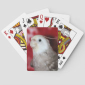 Jeu De Cartes Reeples (dos)