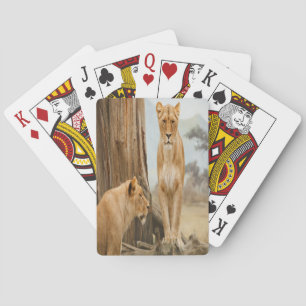 Jeu De Cartes Règles de responsabilité