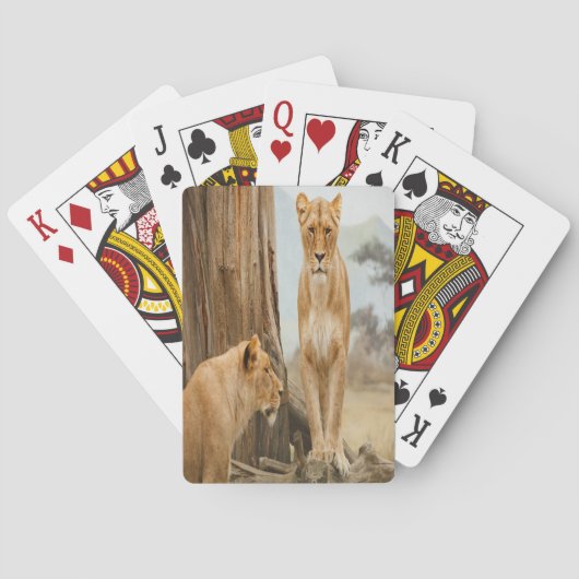 Jeu De Cartes Règles de responsabilité (dos)