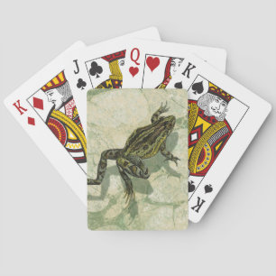 Jeu De Cartes Remonter le crapaud dans l'eau