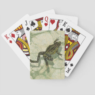 Jeu De Cartes Remonter le crapaud dans l'eau