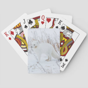 Jeu De Cartes Renard Arctique