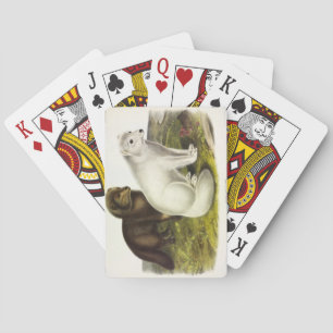 Jeu De Cartes Renard arctique (renard blanc, renard polaire, ren