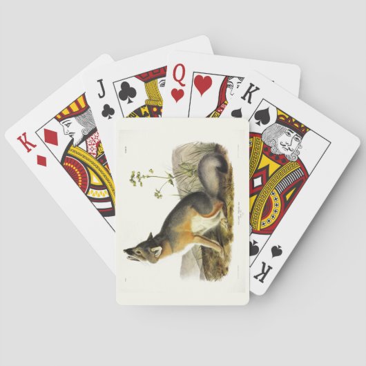 Jeu De Cartes Renard rapide (Vulpes Velox) des Quadrupeds d'Audu (dos)