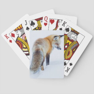 Jeu De Cartes Renard roux en hiver