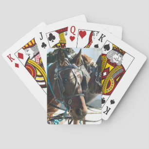 Jeu De Cartes Rencontre avec les Chevaux de Buggy Amish