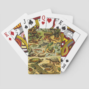 JEU DE CARTES REPTILES