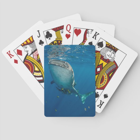 Jeu De Cartes Requin et poissons de baleine (dos)