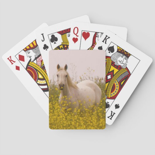 Jeu De Cartes Ressort (dos)