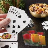 Jeu De Cartes Ressort dans les couleurs (In Situ)