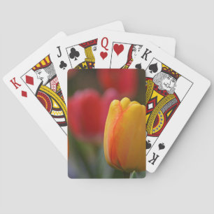 Jeu De Cartes Ressort dans les couleurs