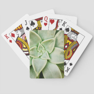 Jeu De Cartes Ressort Succulent