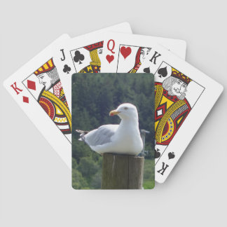 Jeu De Cartes Resting Seagull Coastal Peaceful Seaside Wildlife