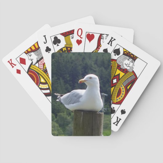 Jeu De Cartes Resting Seagull Coastal Peaceful Seaside Wildlife (dos)