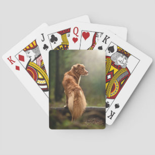 Jeu De Cartes Retriever de rouille de Nouvelle-Écosse