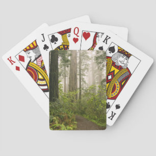 Jeu De Cartes Rhododendron en fleurs parmi les Séquoias à feuill