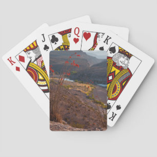 Jeu De Cartes Rio Grande traversant le désert de Chihuahuan