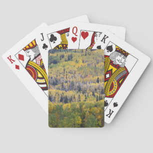 Jeu De Cartes Rivière Provo et trembles