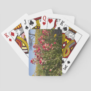 Jeu De Cartes Roadside wildflowers in Texas, spring