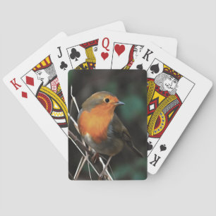 Jeu De Cartes Robin Être Lumineux Sur Un Jour Dull Art Acrylique