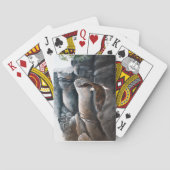 Jeu De Cartes Rocks de vol de Bald Eagle (dos)