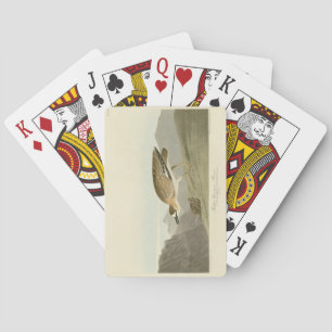 Jeu De Cartes Rocky Mountain Plover - Audubon's Birds of America