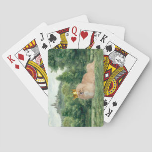 Jeu De Cartes Roi et Château