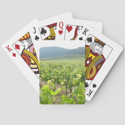Jeu De Cartes Rolling Hills and Vines Vignoble espagnol (dos)