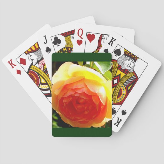 Jeu De Cartes Rose jaune (dos)