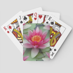 Jeu De Cartes Rose Lotus Water Lily