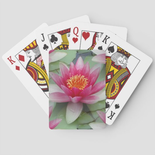 Jeu De Cartes Rose Lotus Water Lily (dos)