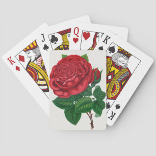 Jeu De Cartes Rose Print Rochester Lithographing and Printing Co