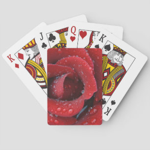 Jeu De Cartes Rose rouge couverte de rosée décorant un lieu de s