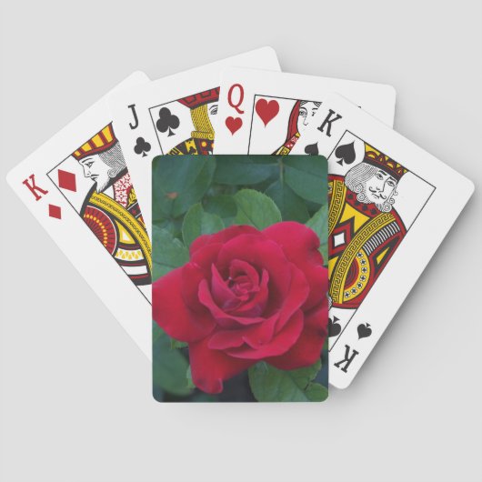 Jeu De Cartes Rose rouge de près (dos)