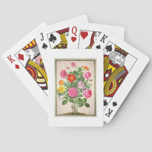 Jeu De Cartes Roses, plate 4 from the Nassau Florilegium (w/c on