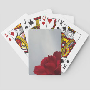 Jeu De Cartes Roses rouges contre un ciel bleu vif