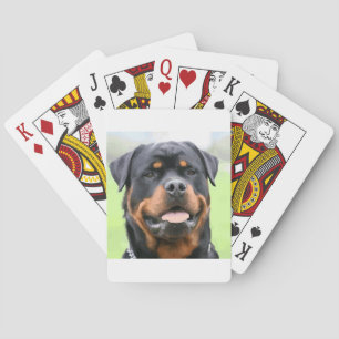 Jeu De Cartes rottweiler