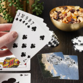 Jeu De Cartes Roue d'Ezekiel (In Situ)