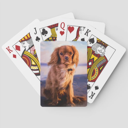 Jeu De Cartes Ruby Cavalier Le roi Charles Spaniel au coucher du (dos)