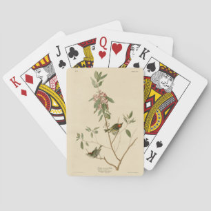Jeu De Cartes Ruby couronné Wren (Kinglet) Audubon Birds Amériqu