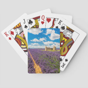 Jeu De Cartes Ruine dans un champ de lavande, France