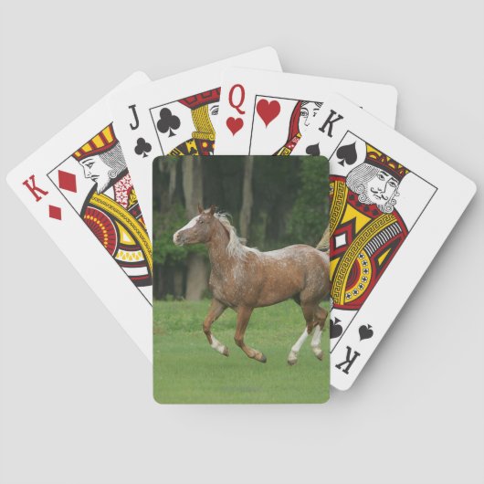 Jeu De Cartes Running d'Appaloosa (dos)
