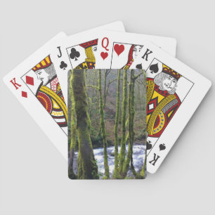 Jeu De Cartes Runoff from Bridal Veil Falls