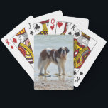 Jeu De Cartes Saint Bernard dog beautiful photo on beach<br><div class="desc">Beautiful photo d'a saint bernard dog on the beach playing cards.  great</div>