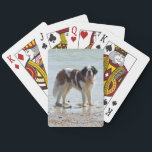 Jeu De Cartes Saint Bernard dog beautiful photo on beach<br><div class="desc">Beautiful photo d'a saint bernard dog on the beach playing cards.  great</div>