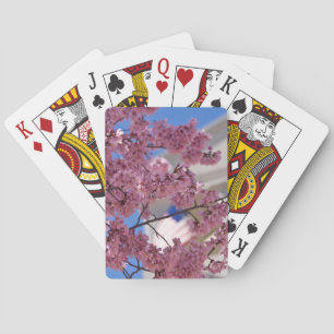 Jeu De Cartes Sakura Cherry Blossoms